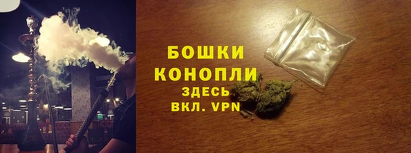 PSILOCYBIN Гусев