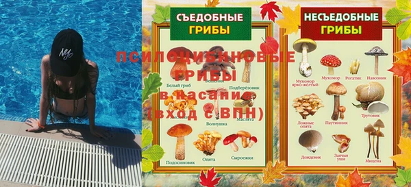 apvp Нефтекумск