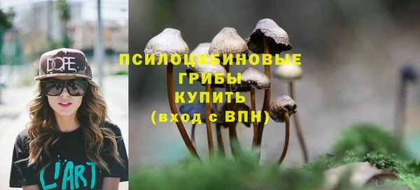 бошки Надым