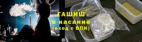 индика Гусиноозёрск