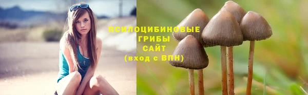 PSILOCYBIN Гусев