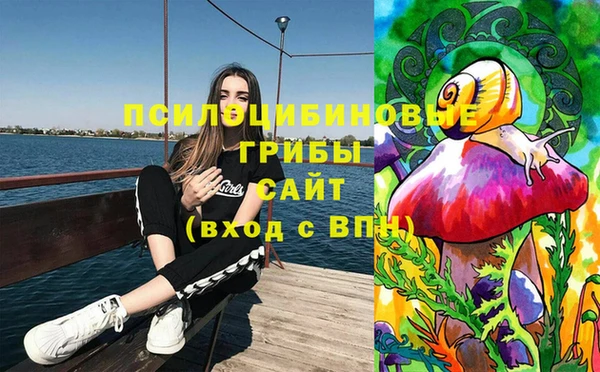 PSILOCYBIN Гусев