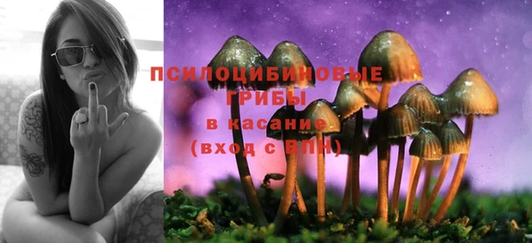 PSILOCYBIN Гусев