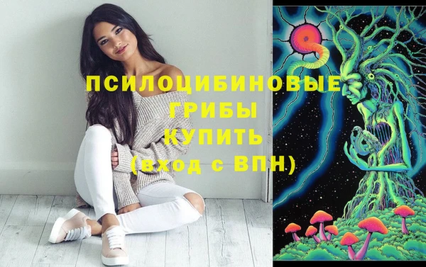 apvp Нефтекумск