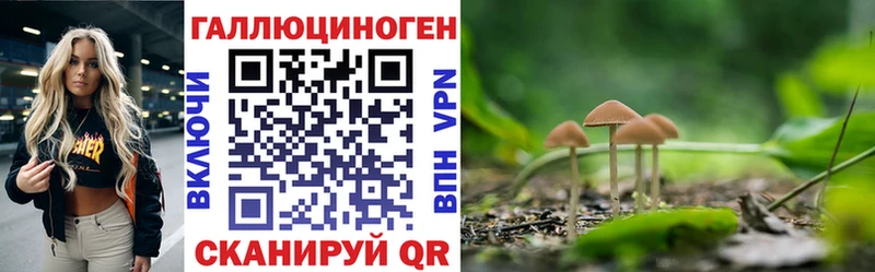 где купить наркоту Заводоуковск Галлюциногенные грибы MAGIC MUSHROOMS