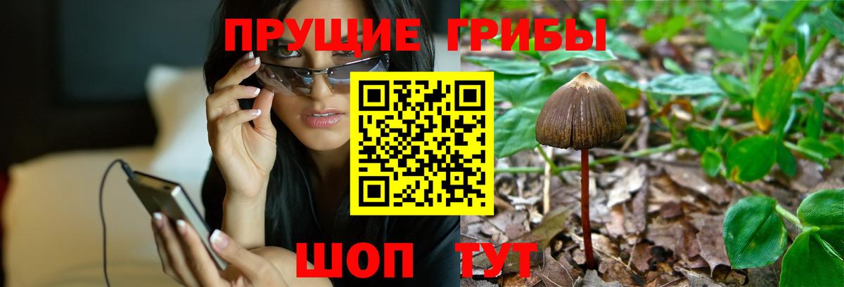 Псилоцибиновые грибы MAGIC MUSHROOMS  Псилоцибиновые грибы Psilocybine cubensis  Заводоуковск 