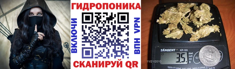 мега маркетплейс  сколько стоит  Заводоуковск  Марихуана семена 